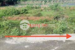 92m2 full thổ đường betong 5m bình lộc dk