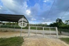 1375 cao phong giá rẻ view đep dg 6m cach qlo600m