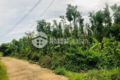 Đất nghỉ dưỡng view núi full hồng sát long khánh