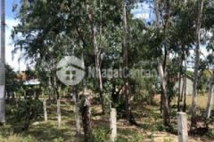 Cần bán lô đất 3680m2 hoà hiệp nam đông hoà py