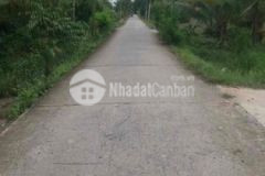 Cần bán đất vườn mt duong ấp9 tai lương hoà