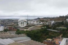 Bán biệt thự 12phòng kinh doanh p11 đà lạt