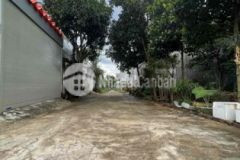 Hẻm giải phóng tân lợi 2ty150tr 5x25