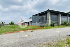 Đất thổ cư long khánh bến cầu đường nhựa shr