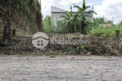 Bán cặp nền kdc quân đội diện tích10m x 23m