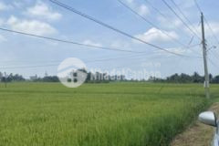 Đất thổ cư bến cầu tây ninh 399 triệu