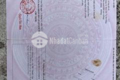 Bán nhà mặt tiền đường ngô quyền