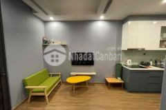 Bán căn studio greenbay sổ lâu dài