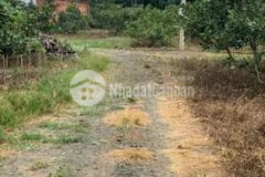 1sào tân lâm xuyên mộc chính chủ cách chợ 3km