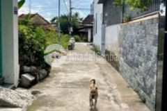 Bán lô đất cách chợ và uỷ ban vĩnh ngọc chỉ 350m