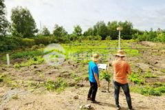 1088m2 cln được chuyển thổ đường oto chỉ 1 4t