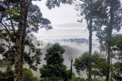 Bán đất vùng lõi khu bảo tồn thiên nhiên pù luông