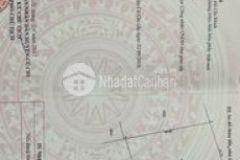 Đất vườn dt 1004m2 xã tân thạnh đông