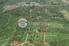 Cần bán gấp lô đất giá rẻ có nguồn thu cao