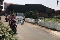 Ngân hàng agribank thúc b á n b á n gấp