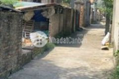 Bán đất bắc hồng đông anh hà nội đường ô tô