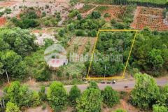 Đất mt vũ lăng 22 x 90 nở hậu 24 khu dân cư