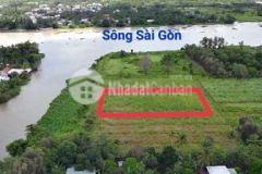 Đất view sông sài gòn 1400m2 thổ cư xã bình mỹ