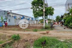 Cần bán gấp lô đất 1040m2 full thổ mỹ hạnh nam