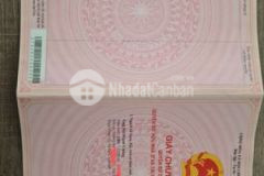 Nhà thái mỹ đường lớn thổ cư shr