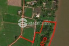 2 4ha ven sông vàm cỏ tây mt sông 200m mt lộ 85m