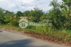 Bán 500m2 đất vườn đường quy đức bình chánh