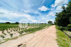 Cần bán lô đất đẹp giá chỉ 95 nghìnm2