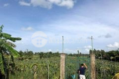 Bán đất mặt tiền lộ đường tỉnh 926, gần chợ trường long tây, châu thành a, hậu giang