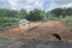 Cần bán lô đất ngay đối diện ubnd thới hòa bến cát.