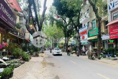 Siêu rẻ nhỉnh 10 tỷ mặt phố hoàng hoa thám, dt 40m x4t, mt 4m, vỉa hè rộng, kinh doanh