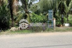 Bán 300m2 đất mặt tiền đường tỉnh 921, thạnh hòa, thốt nốt, cần thơ