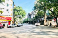 Bán nhà mặt phố ngô gia tự ô tô kinh doanh, vỉa hè đá bóng 48m2, 5t, giá 8 tỷ