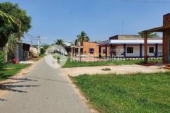 Chính chủ bán lô đường số trung lập giá hời