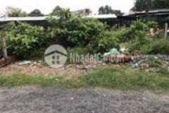 Chính chủ đất full thổ cư sổ đỏ xã tân thạnh đông