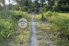 Bán sỉ 3 nền đất 100m2 giá 780 triệu hựu thạnh