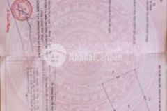 Đất trồng cây xã thái mỹ củ chi