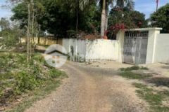 Đất sào mặt tiền siêu víp có cây ăn trái hồ giá re