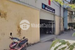 Thông các ngả xây căn hộ cho thuê hái ra tiền