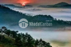 Anh trai cần bán lô đất vườn diện tích 5000m2