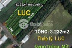 3 232m2 thuộc trường long phong điền cần thơ