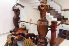 Nhà 3 tầng mặt tiền đoàn khuê nam việt á