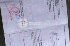 Đất vườn dừa đường đá 5m gần chợ hoà mỹ bình ninh