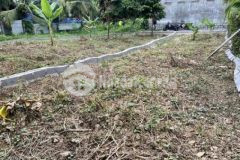 Bán đất tt diên khánh diên khánh giá bất ngờ