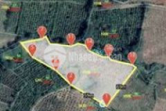 Đất vườn tx buôn hồ 7 sào gần tiện ích sổ sẵn