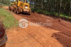 Cần tiền bán miếng vườn đường đang lên nhựa 520tr