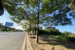 Bán 2 lô đất liền kề mặt đường phạm văn đồng