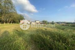 Đất full thổ gò dầu giá 500tr diện tích 190m2