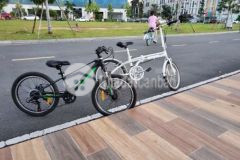 Đất mọt sẹc trục đường chính