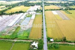 Bán 1 công đất chẵn bon ngan 19m dài 54m