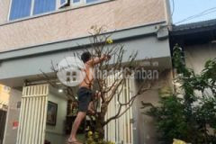 Bán nhà 5 9x13 10m nở hậu 8 3m 92m² 2 5 tấm